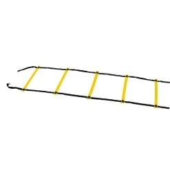 Derbystar Koordinationsleiter