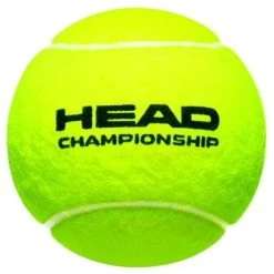 Head Tennisbälle Championship Dose 36x4er Im Karton -Sportausrüstung HEADChampionshipball 408x408 1