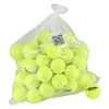 Head Tennisbälle Reset (drucklos, Ballmaschine) Gelb 72er Im Polybag -Sportausrüstung HEAD 575030 YW BALL RESET 60 BAG 1 1200x1200 1