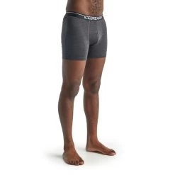 Icebreaker Boxershort Anatomica (Merinowolle) Unterwäsche Grau Herren -Sportausrüstung Icebreaker 103029011 Anatomica Boxer 3 1200x1200 1