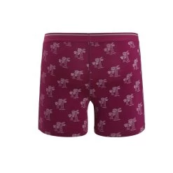 Icebreaker Boxershort Anatomica (Merinowolle) Graphic Unterwäsche Beererot Herren -Sportausrüstung Icebreaker 103029815 Anatomica Boxerhort202 1200x1200 1