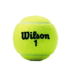 Wilson Tennisbälle Championship Dose 3er 6 Wilson Tennisbälle Championship Dose 3er -Sportausrüstung Wilson WRT100101 Black Wilson 1 Ball No Shadow201 784x784 1