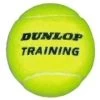 Dunlop Tennisball Training (drucklos) Gelb - 1 Ball -Sportausrüstung dunloptraininggelb 220x220 1